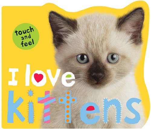 I Love Kittens