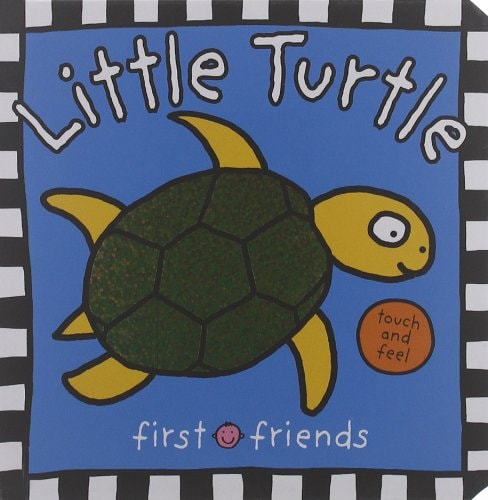 Little Turtle