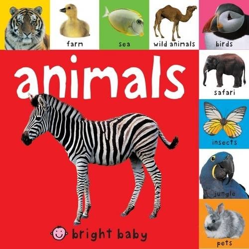Animals
