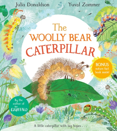 The Woolly Bear Caterpillar-zoom-