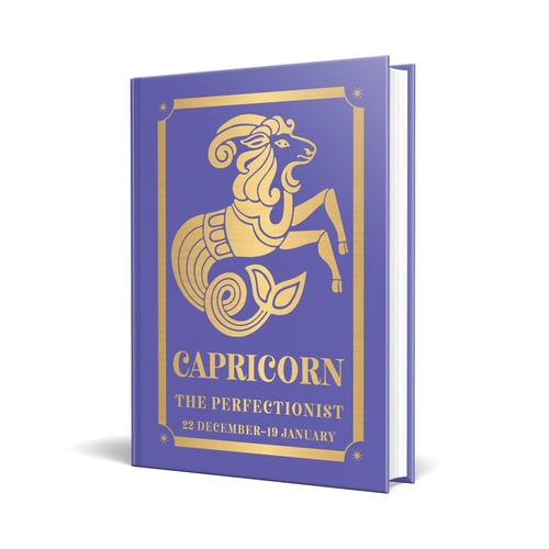 Capricorn: The Perfectionist-zoom-1