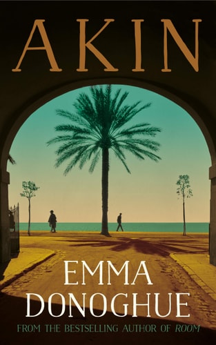 Akin A Novel