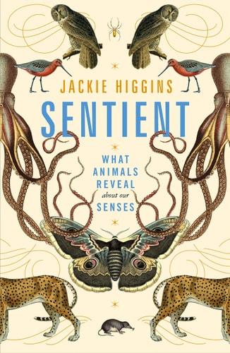 Sentient What Animals Reveal about Our Senses