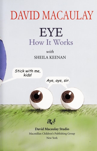 Eye: How It Works