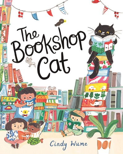 The Bookshop Cat-zoom-
