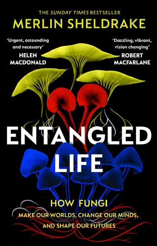 Entangled Life How Fungi Make Our Worlds, Change Our Minds and Shape Our Futures