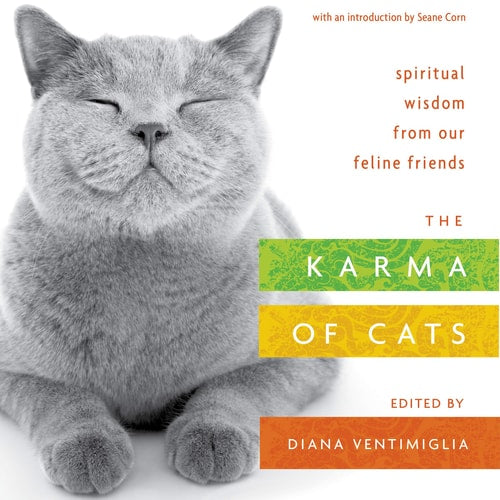 The Karma of Cats Spiritual Wisdom from Our Feline Friends-zoom-