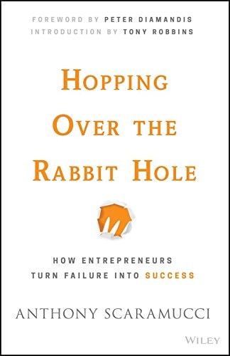 Hopping Over the Rabbit Hole: How Entrepreneurs Turn Failure into Success [Hardcover]