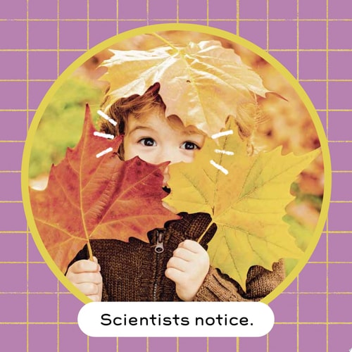 STEM Baby: Science (STEM Books for Babies, Tinker and Maker Books for Babies)