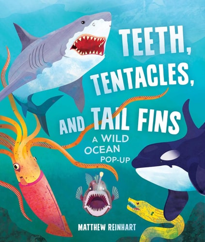 Teeth, Tentacles, and Tail Fins (Reinhart Pop-Up Studio) A Wild Ocean Pop-Up (Reinhart Studios) (Ocean Book for Kids, Shark Book for Kids, Nature Book for Kids)