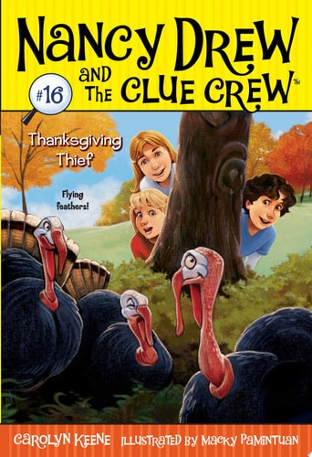 Thanksgiving Thief