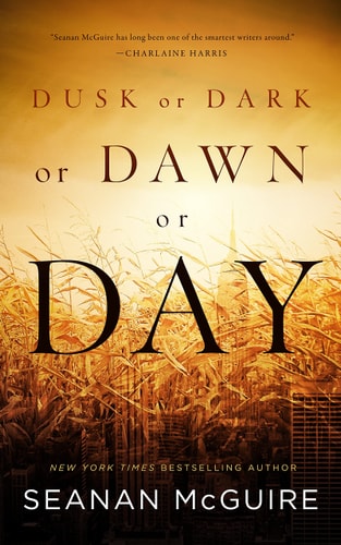 Dusk or Dark or Dawn or Day-zoom-1