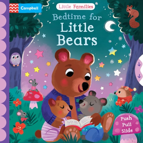Bedtime for Little Bears A Push Pull Slide Book