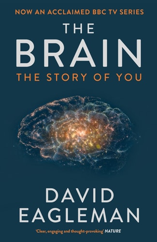 The Brain The Story of You