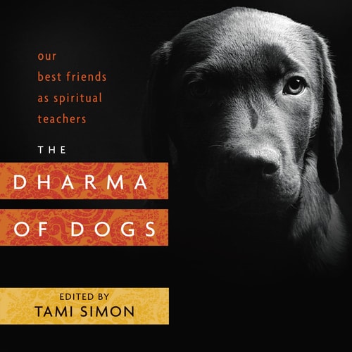 The Dharma of Dogs Our Best Friends as Spiritual Teachers