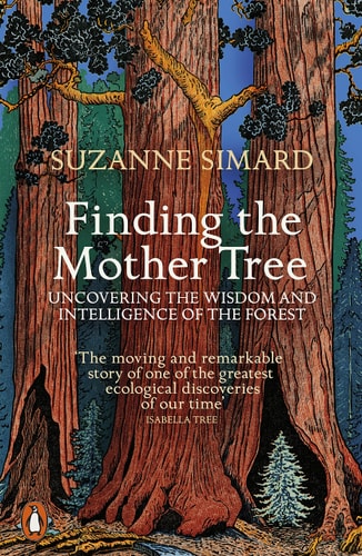 Finding the Mother Tree Uncovering the Wisdom and Intelligence of the Forest-zoom-1