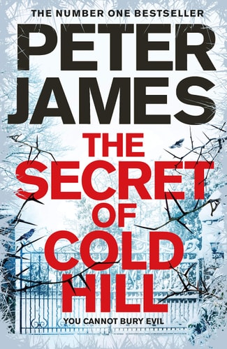 The Secret of Cold Hill (House on Cold Hill #2)