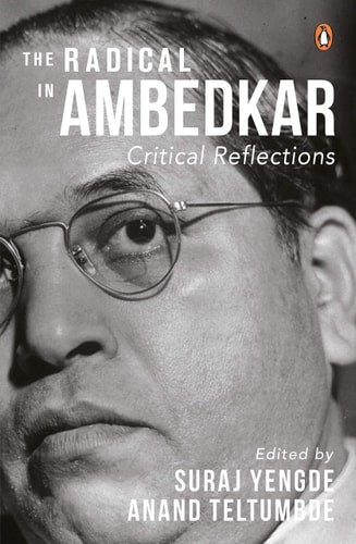 The Radical in Ambedkar Critical Reflections-zoom-1