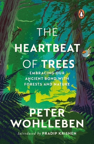 The Heartbeat of Trees: Embracing Our Ancient Bond with Forests and Nature-1