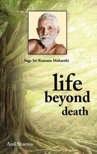 Life Beyond Death-zoom-1