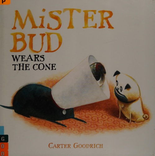 Mister Bud Wears the Cone