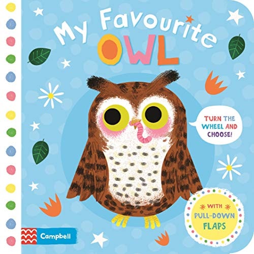 My Favourite Owl-1