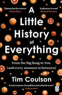 A Little History of Everything From the Big Bang to You (and Every Moment in Between)