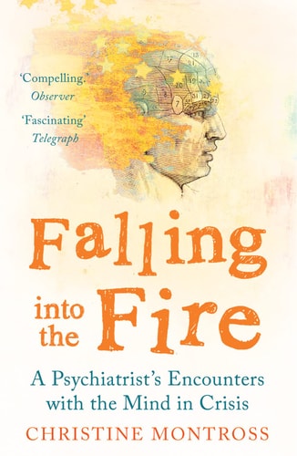 Falling Into the Fire A Psychiatrist's Encounters with the Mind in Crisis