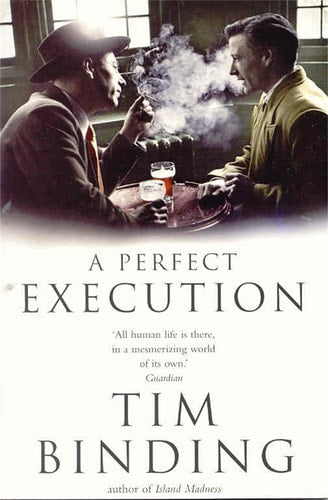 A Perfect Execution A Novel