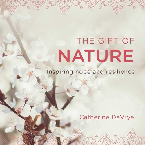 The Gift of Nature Inspiring hope and resilience