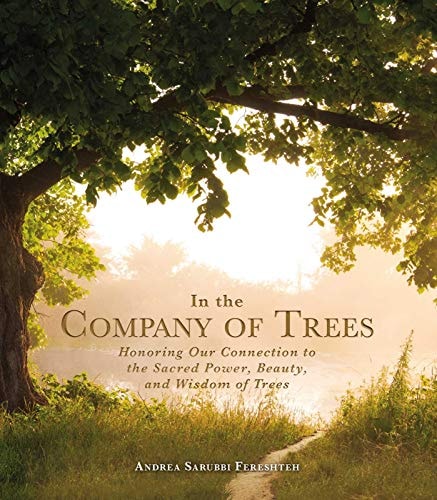 In the Company of Trees Honoring Our Connection to the Sacred Power, Beauty, and Wisdom of Trees