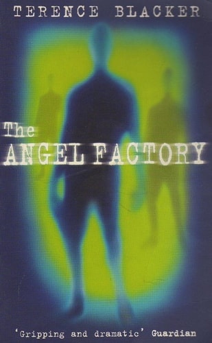 The Angel Factory