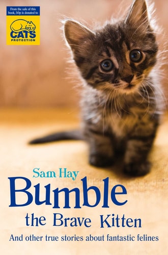 Bumble the Brave Kitten And Other True Stories about Fantastic Felines