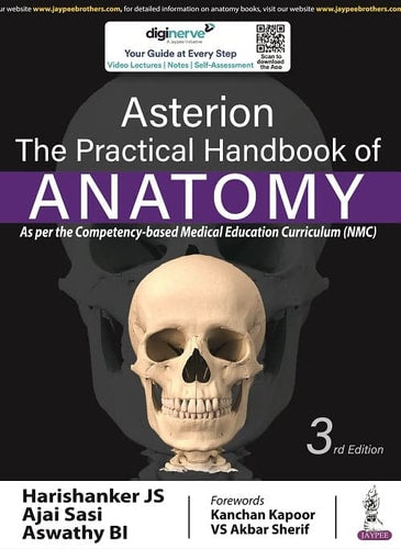 Asterion The Practical Handbook of Anatomy