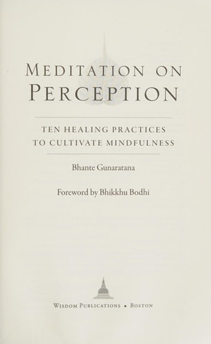 Meditation on Perception Ten Healing Practices to Cultivate Mindfulness