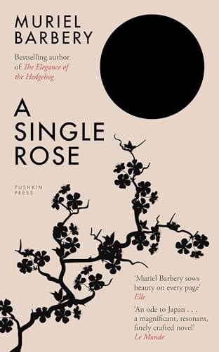 A Single Rose-zoom-