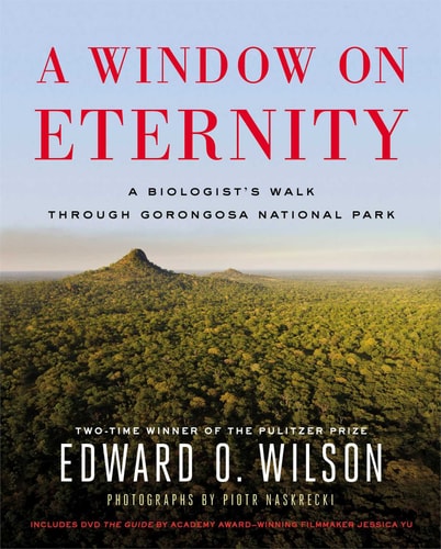 A Window on Eternity A Biologist’s Walk Through Gorongosa National Park