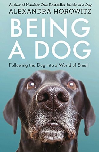Being a Dog Following the Dog Into a World of Smell-zoom-