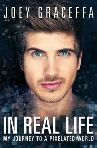 In Real Life My Journey to a Pixelated World