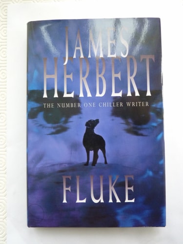 Fluke