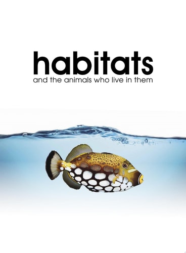 Habitats and the Animals Who Live in Them With Stickers and Activities to Make Family Learning Fun
