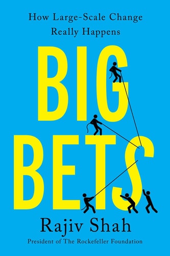 Big Bets How Large-Scale Change Really Happens