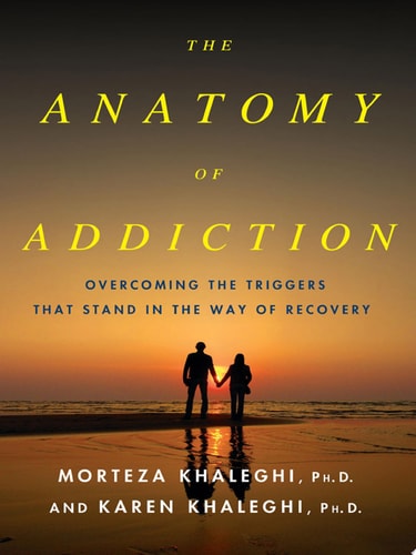 The Anatomy of Addiction Overcoming the Triggers That Stand in the Way of Recovery