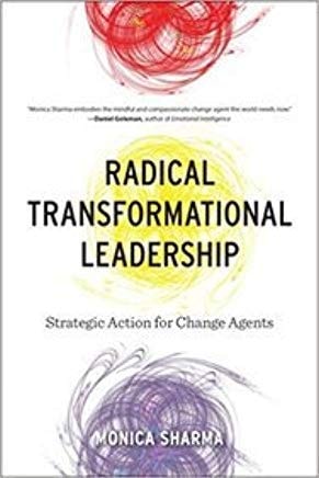 Radical Transformational Leadership (Indian Edition)