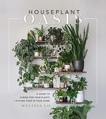 Houseplant Oasis A Guide to Caring for Your Plants + Styling Them in Your Home-zoom-