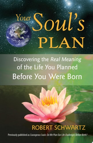 Your Soul's Plan Discovering the Real Meaning of the Life You Planned Before You Were Born-zoom-