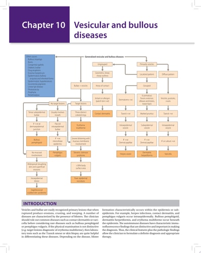 Differential Diagnosis in Dermatology-zoom-1