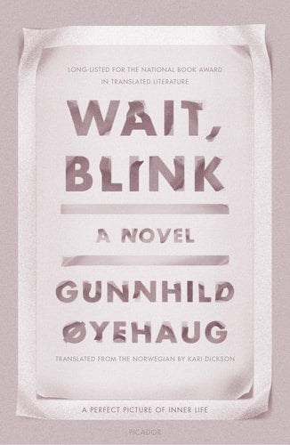 Wait, Blink A Perfect Picture of Inner Life: A Novel-zoom-1