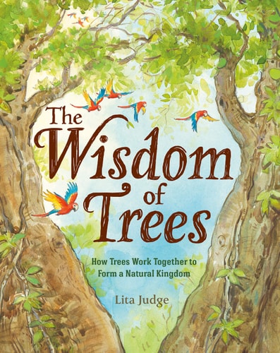 The Wisdom of Trees How Trees Work Together to Form a Natural Kingdom-zoom-