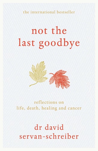 Not the Last Goodbye Reflections on Life, Death, Healing and Cancer